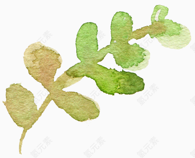 手绘水彩绿色叶子