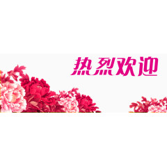 热烈欢迎花卉矢量