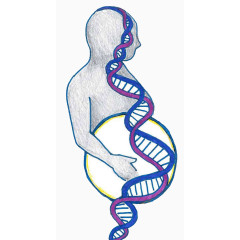 手绘人体DNA基因链图形