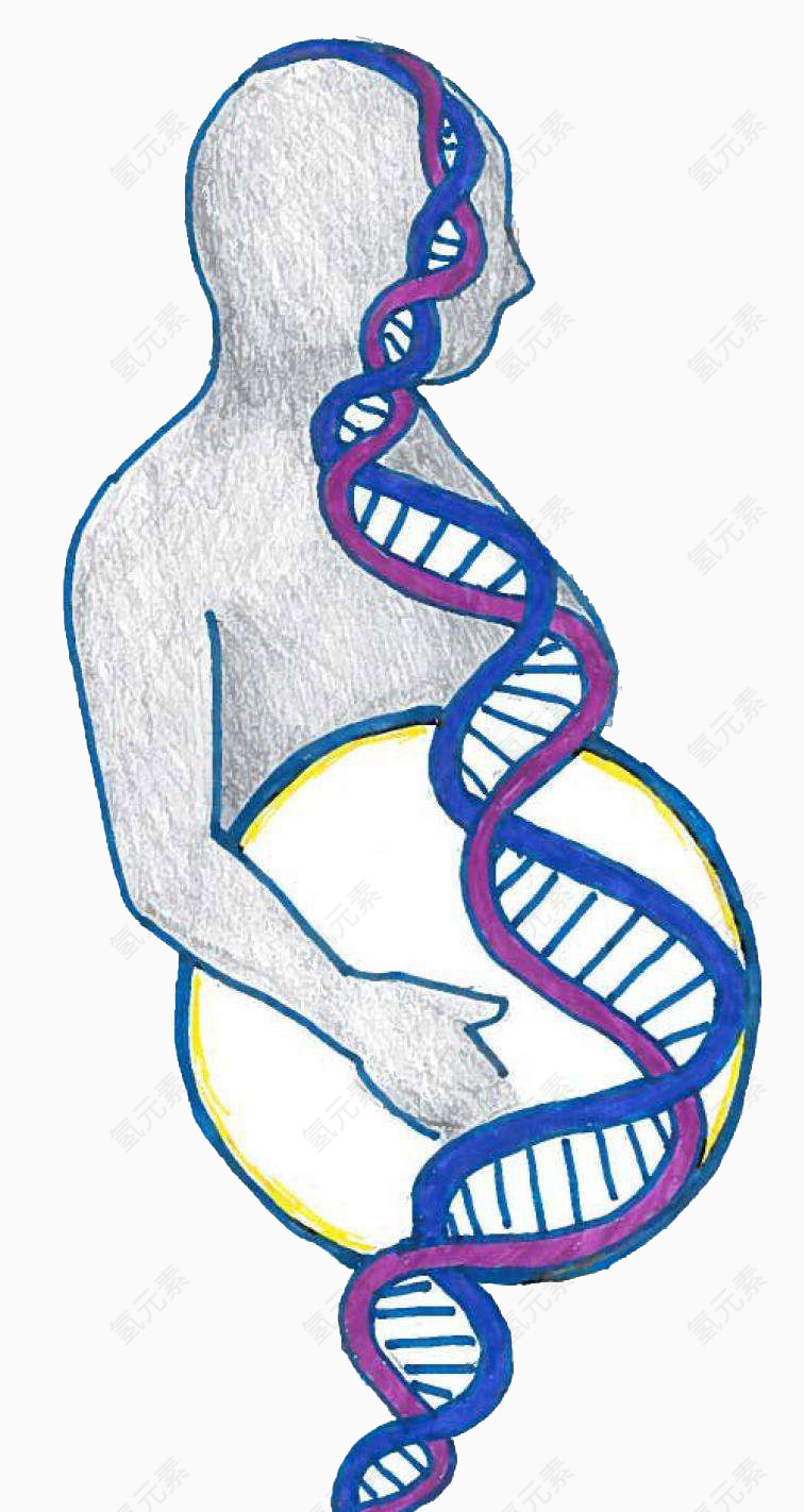手绘人体DNA基因链图形