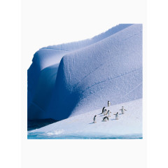 冰川企鹅