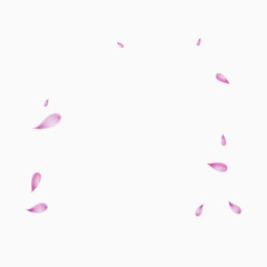粉色清新花瓣漂浮素材