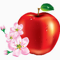 红苹果