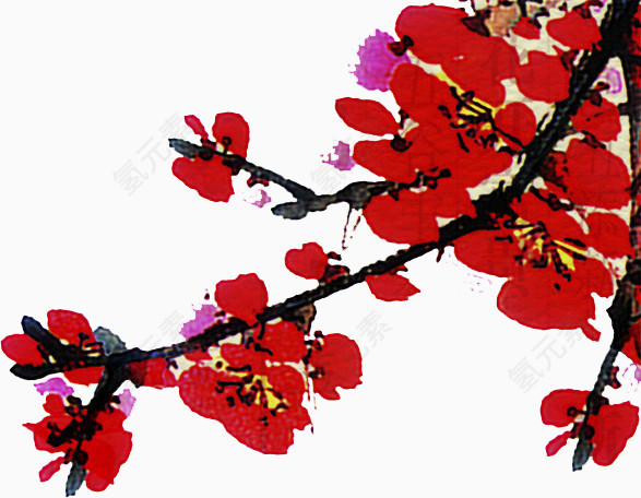 腊梅矢量素材