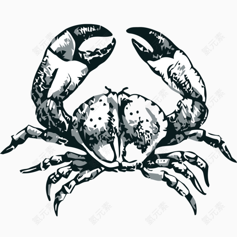 矢量手绘素描大闸蟹素材