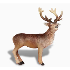 棕色麋鹿图案