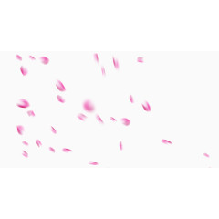 小花瓣花瓣和模糊花瓣