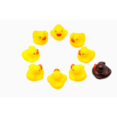 8只小黄鸭