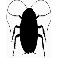 蟑螂剪影