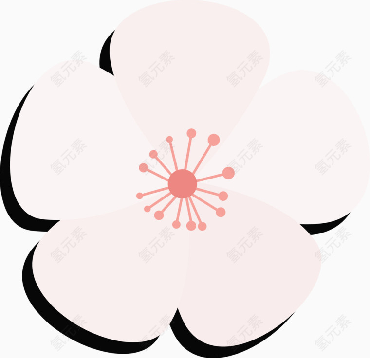 可爱樱花