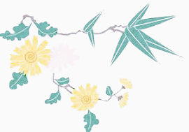 花朵插画