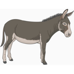 小毛驴矢量图