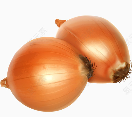 栗