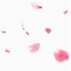 花瓣漂浮粉色装饰