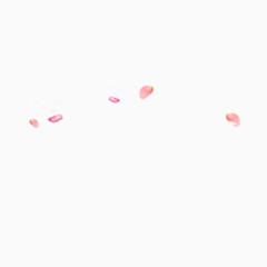 创意飘香玫瑰花瓣