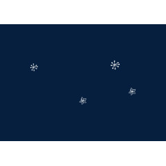 雪花漂浮