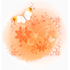 橙色蝴蝶