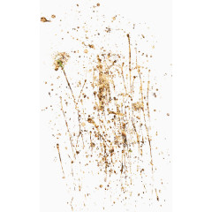 野花枝装饰素材