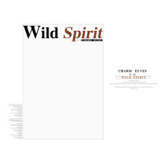 字母插图照片相册模板元素