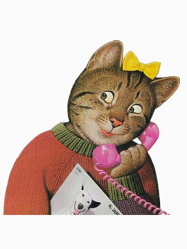 猫咪