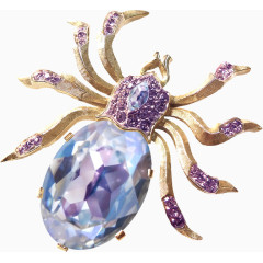 彩色漂亮蜘蛛饰品