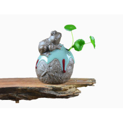 金钱草青蛙盆景
