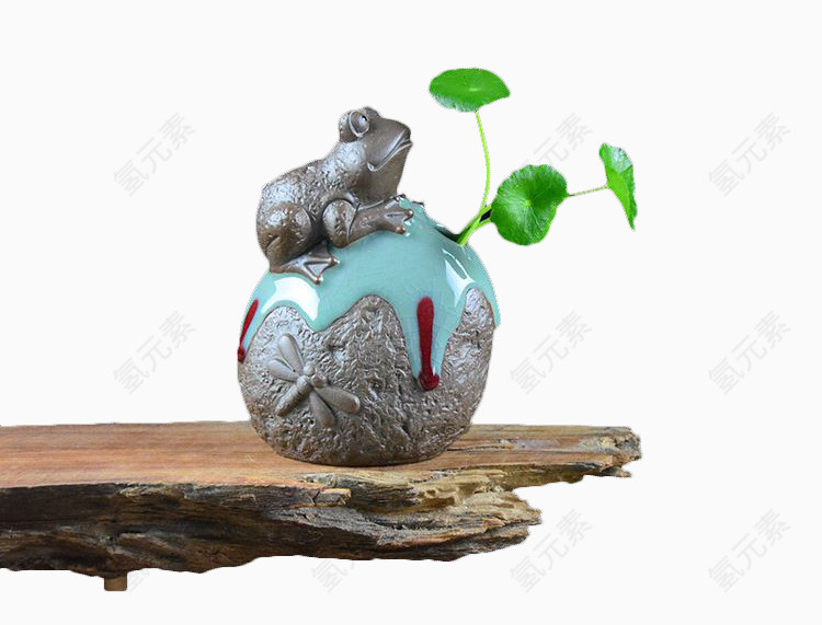 金钱草青蛙盆景
