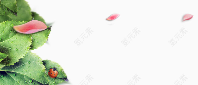 淘宝电商春季新款图