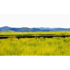 甘南迭部花湖风光