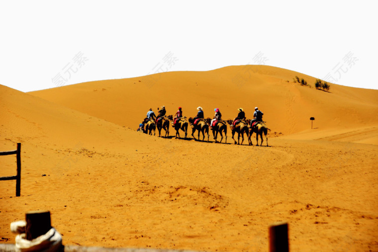 宁夏景区中卫沙坡头