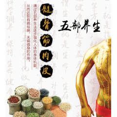 五部养生