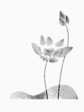 墨色荷花水彩画