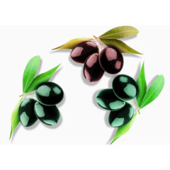 富含营养的油橄榄素材