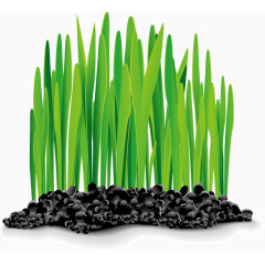 生机盎然绿色树苗