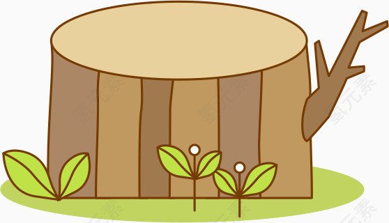 树根