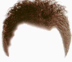 头发   假发   发型