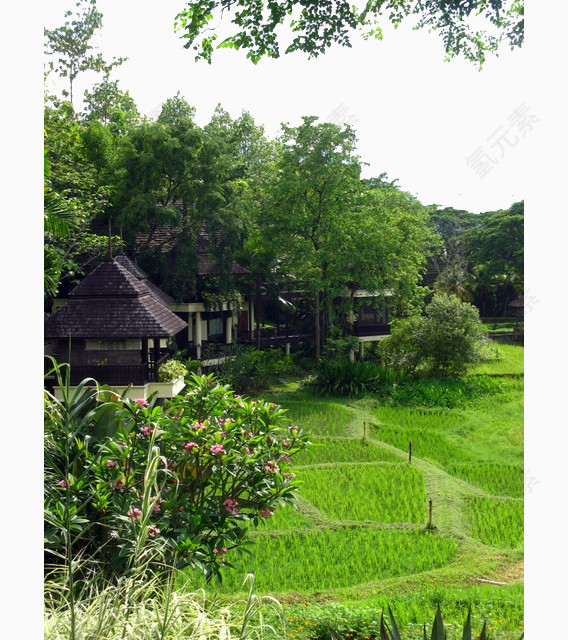 清迈乡村度假酒店