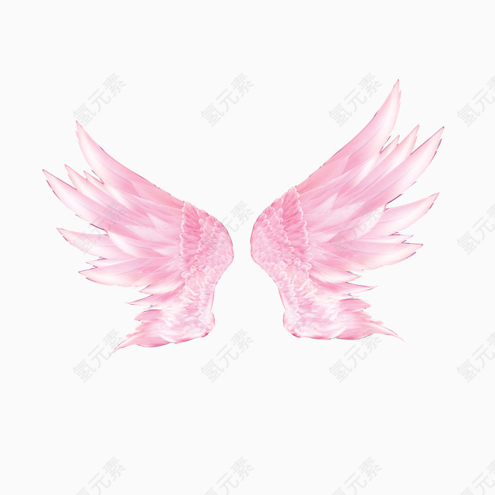 粉色翅膀