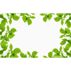 绿叶边框