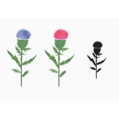 蒲公英种子微风春天