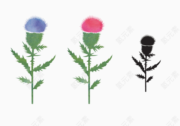 蒲公英种子微风春天
