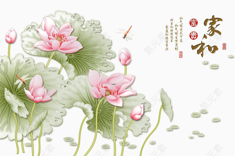 家和富贵荷花