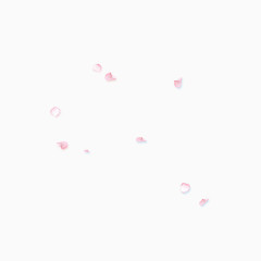 粉色花瓣