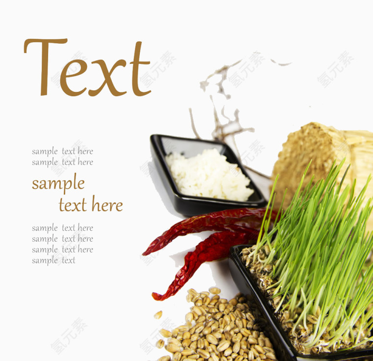 麦芽与食品高清免扣素材