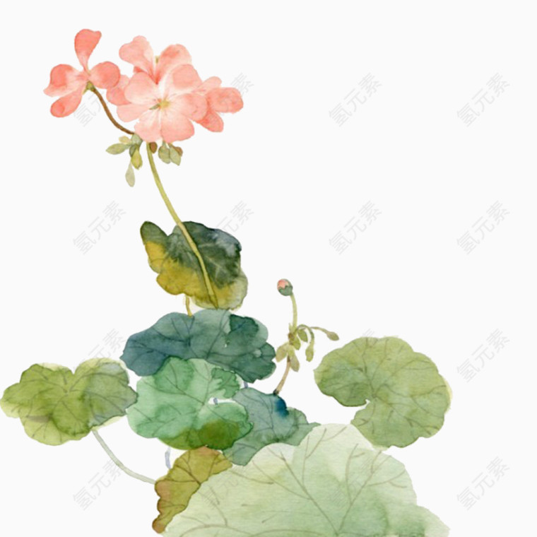粉色花朵彩绘免抠素材