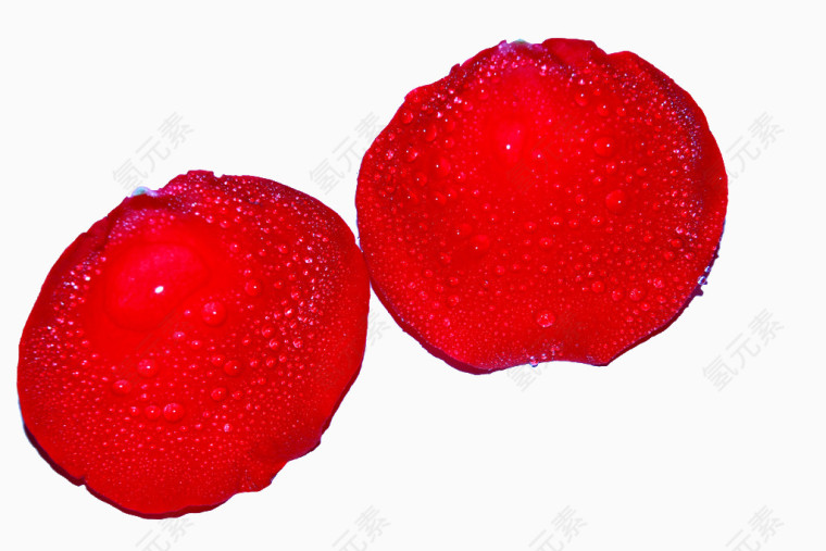 鲜艳红色玫瑰花瓣