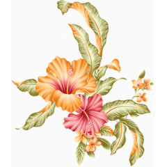 国画水彩画喇叭花