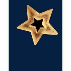 圣诞树上的星星