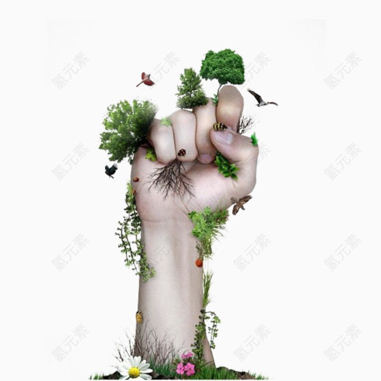 长满植物的手掌