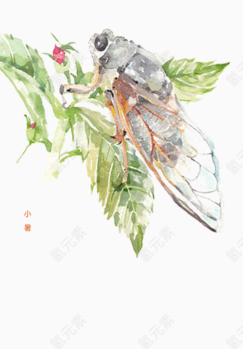 节气之小暑